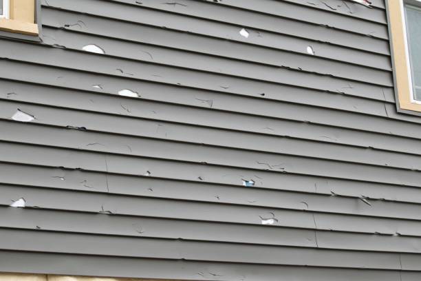 Best Historical Building Siding Restoration  in Bethlehem, PA